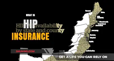 Understanding Hip Insurance: Coverage, Benefits, and Why It Matters