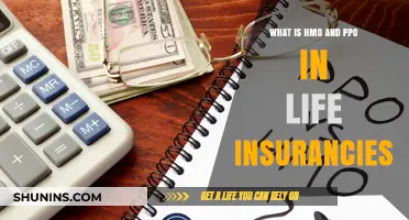 Understanding HMOs and PPOs: Life Insurance Simplified