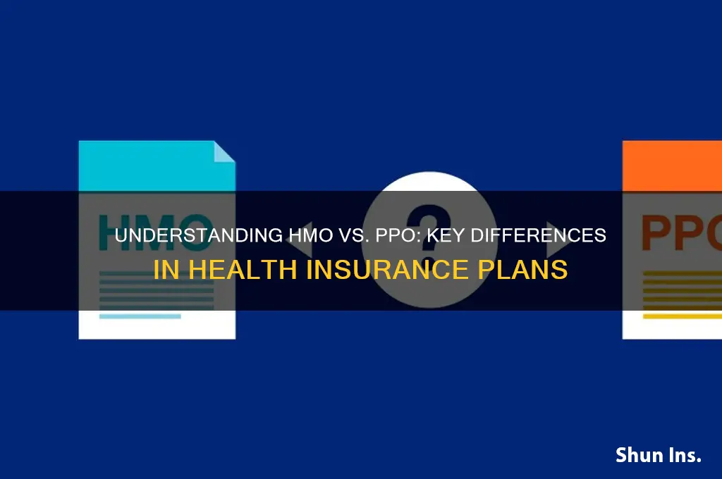what is hmo or ppo insurance