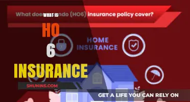 HO-6 Insurance: Protecting Your Home and Belongings