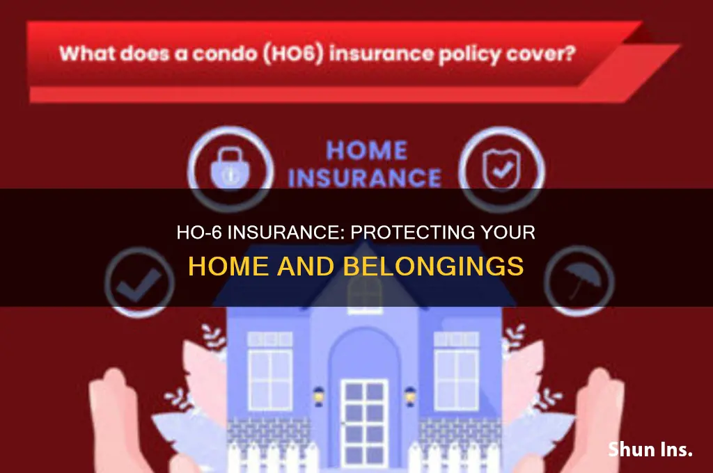 what is ho 6 insurance