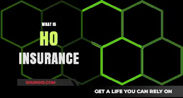 Home Insurance: What You Need to Know About HO Policies