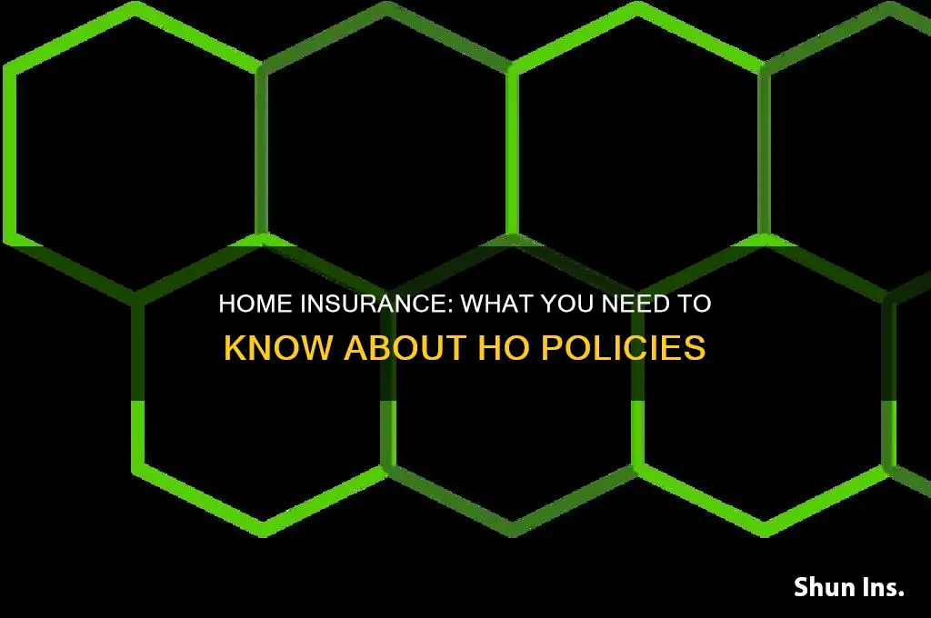 what is ho insurance