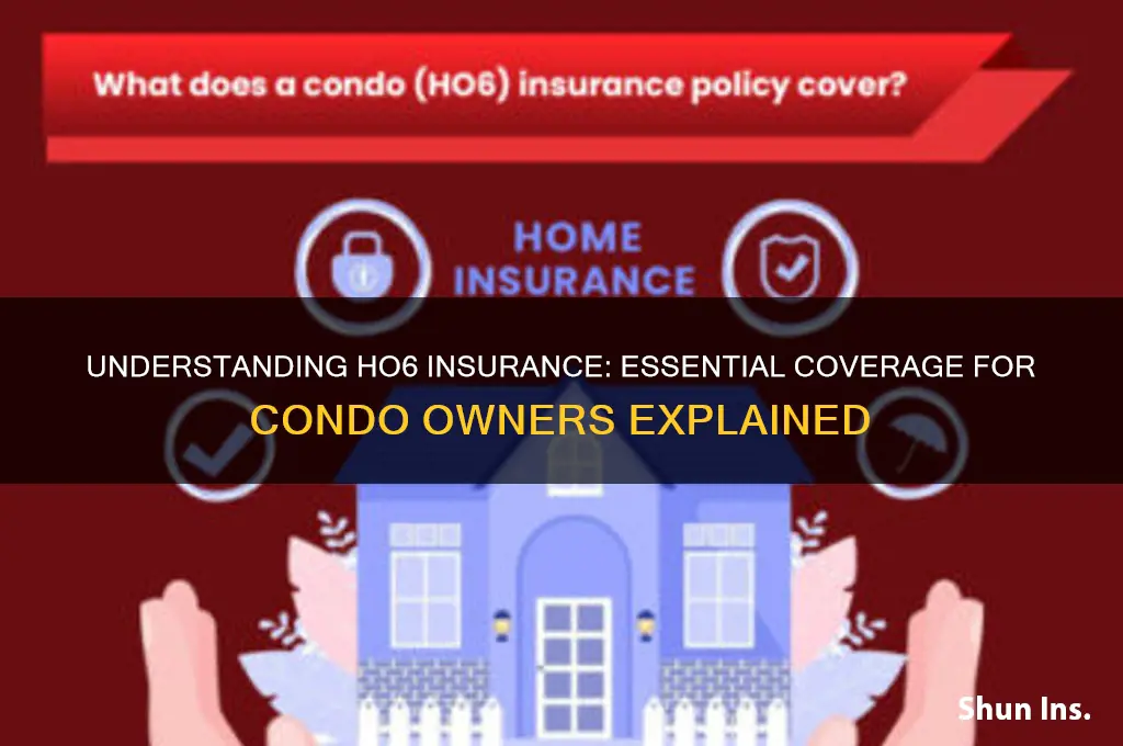 what is ho6 insurance