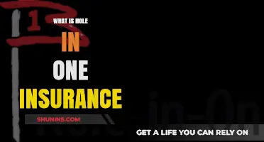 Understanding Hole-in-One Insurance: Coverage, Benefits, and Why It Matters