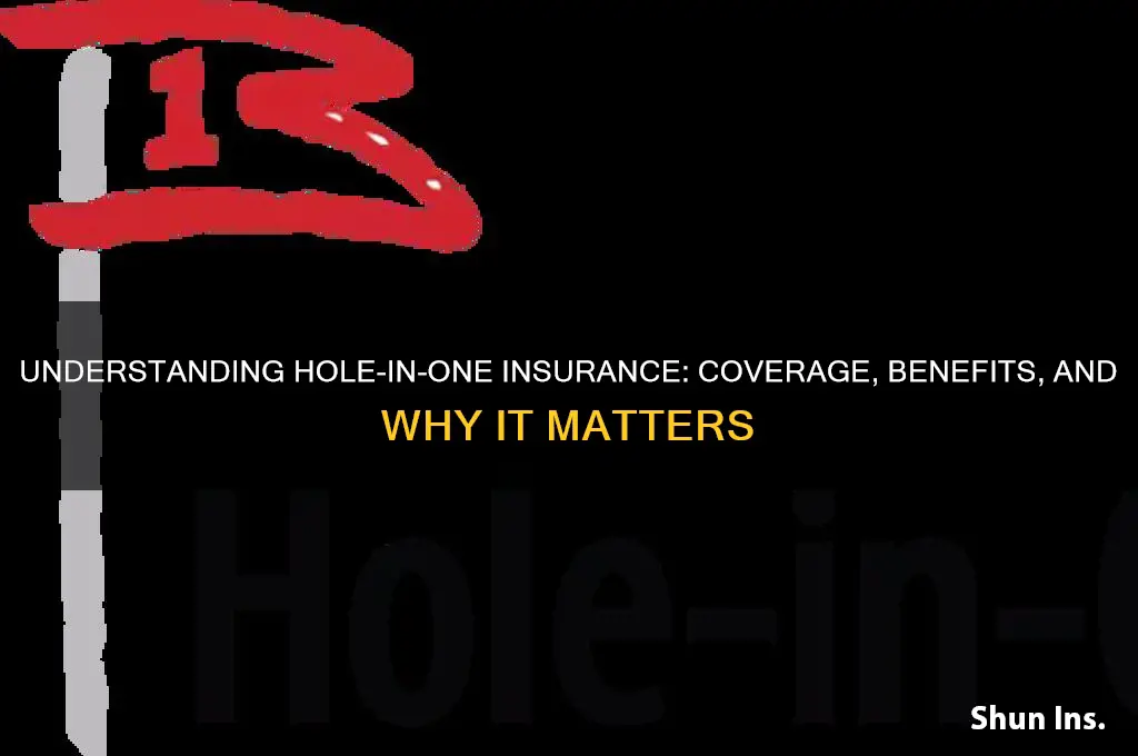 what is hole in one insurance