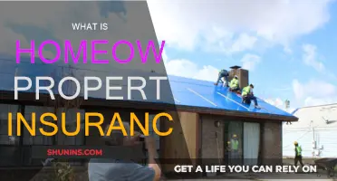 Property Insurance: Protecting Your Homeowner Assets