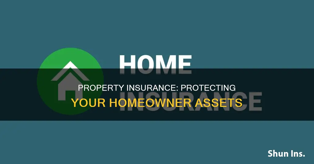 what is homeowner property insurance