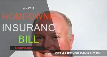 Understanding Your Home Insurance Bill