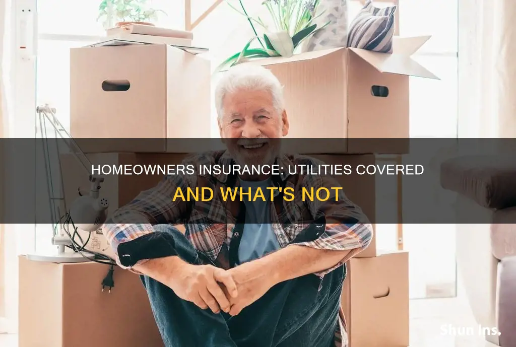 what is homeowners insurance for utilities