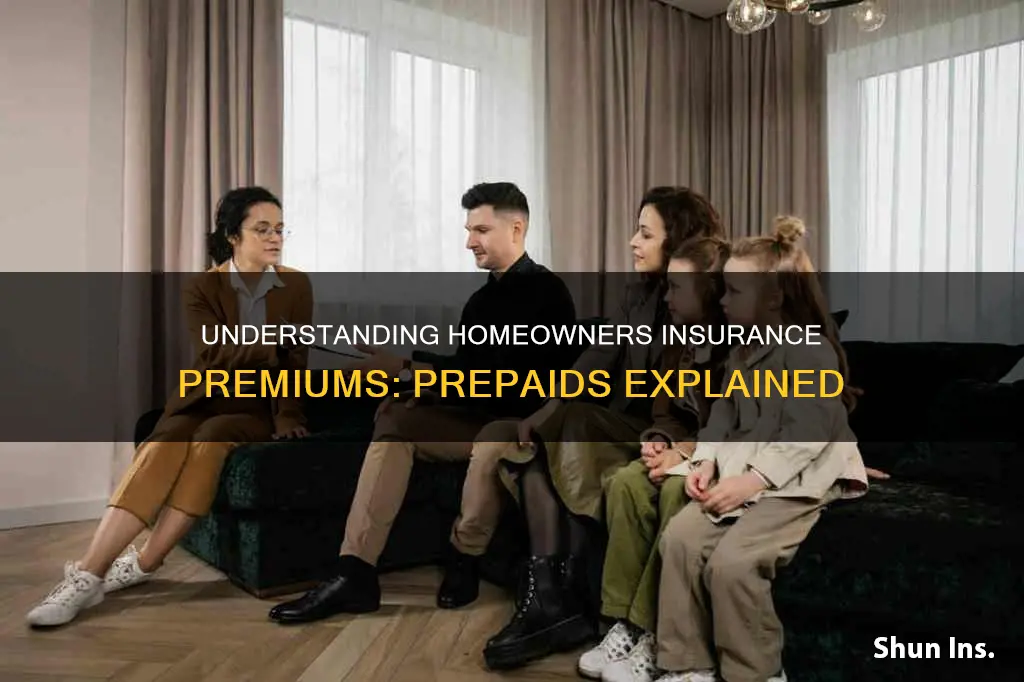 what is homeowners insurance premium under prepaids