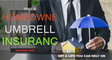 Umbrella Insurance: Extra Homeowners Coverage Explained
