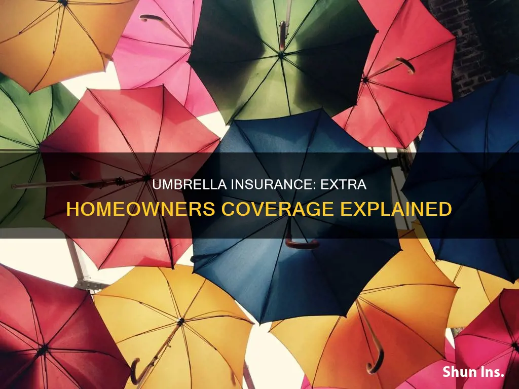 what is homeowners umbrella insurance