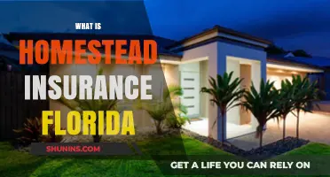 Florida's Homestead Insurance: What You Need to Know