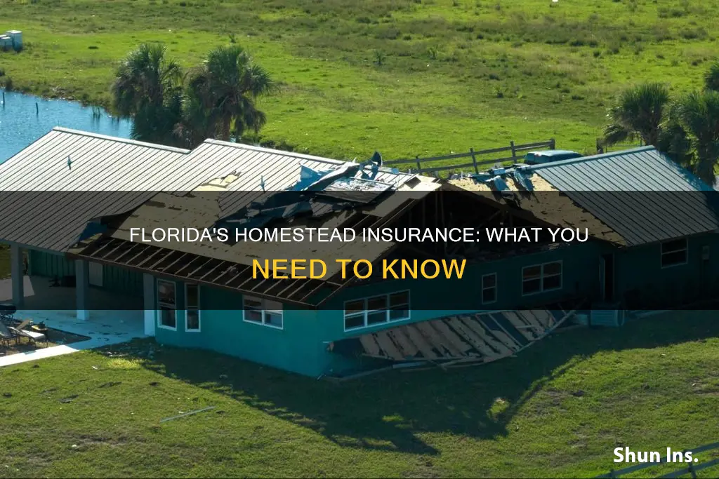 what is homestead insurance florida
