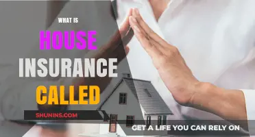Understanding the Basics of Home Insurance