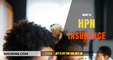 Understanding HPN Insurance: Benefits, Coverage, and How It Works