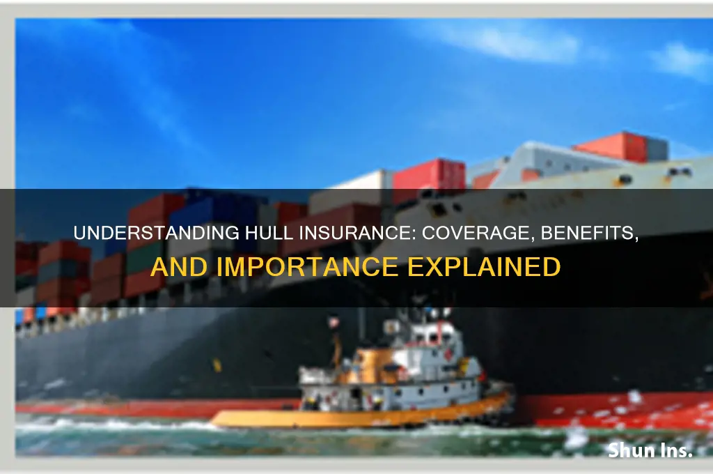 what is hull insurance