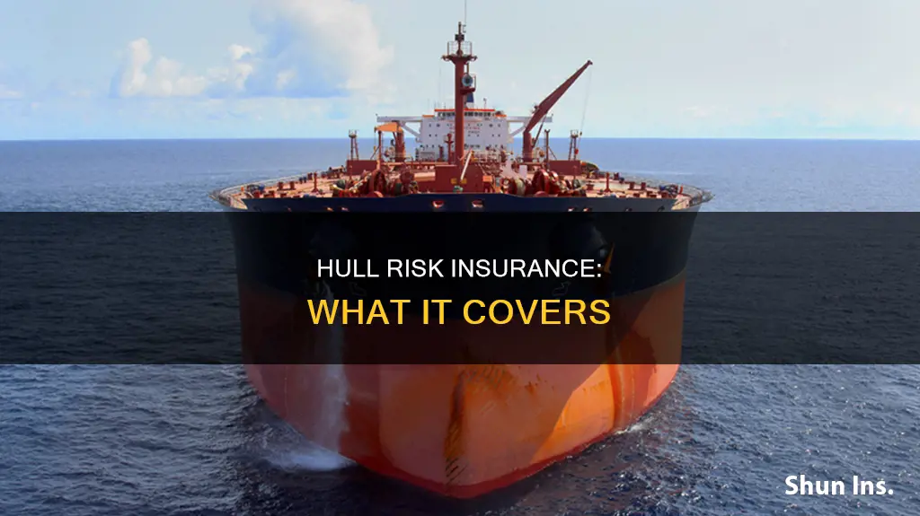 what is hull risk insurance