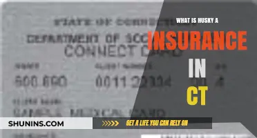 Understanding Husky A Insurance in Connecticut: Coverage, Benefits, and Eligibility
