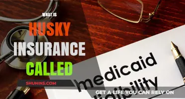 Husky Insurance: Understanding Connecticut's Health Coverage
