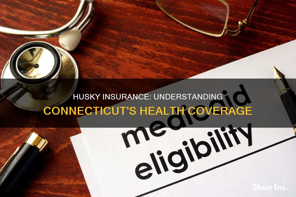 what is husky insurance called