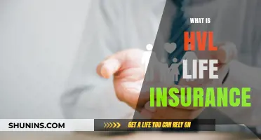 Understanding HVL Life Insurance: A Comprehensive Guide