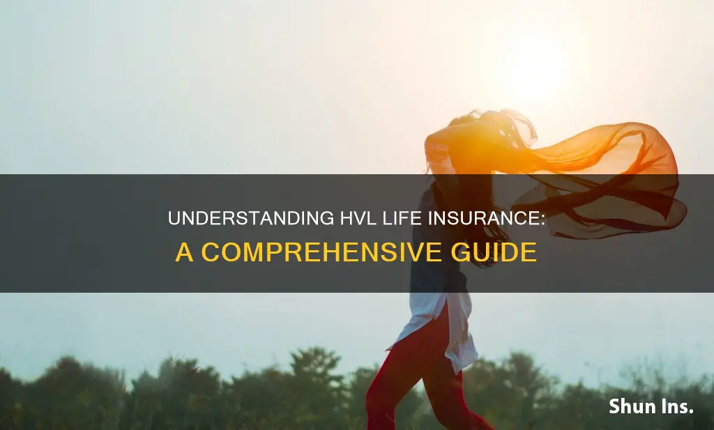 what is hvl life insurance