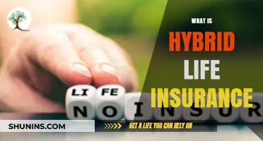 Understanding Hybrid Life Insurance: A Comprehensive Guide