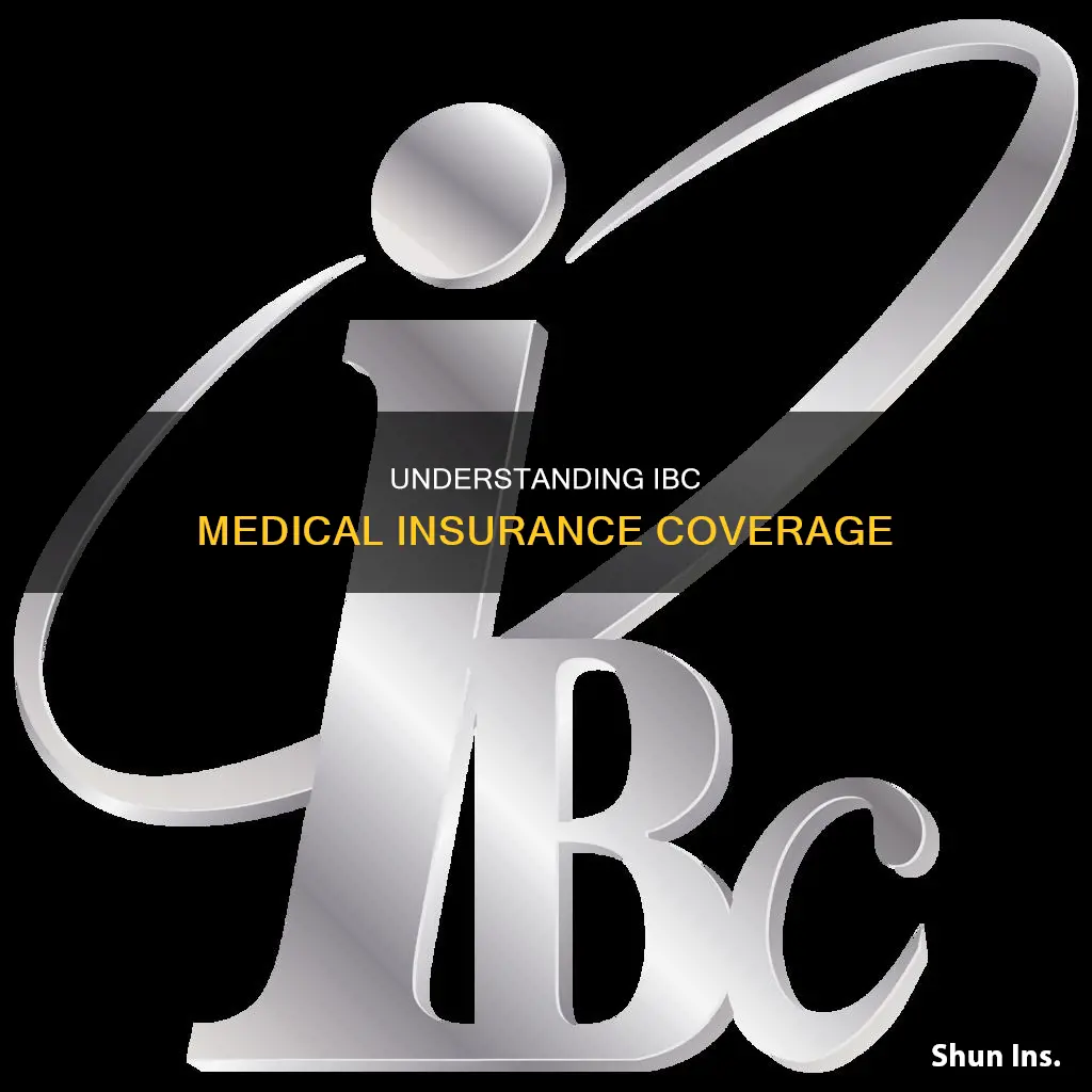what is ibc medical insurance