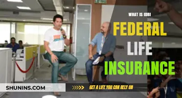 Uncover the Benefits: IDBI Federal Life Insurance Explained