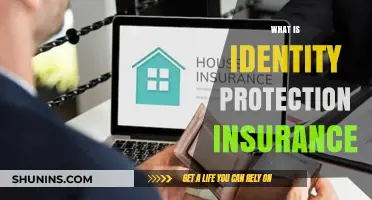 Understanding Identity Protection Insurance: Safeguarding Your Personal Data