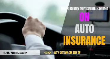 Identity Theft Expenses Coverage: Auto Insurance's Hidden Gem