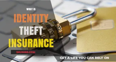 Understanding Identity Theft Insurance: Protection, Benefits, and Why You Need It