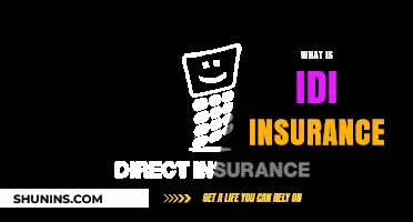 Understanding Idi Insurance: Benefits, Coverage, and How It Protects You