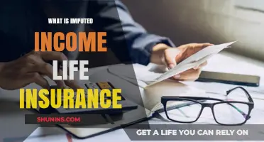 Understanding Imputed Income Life Insurance: A Comprehensive Guide