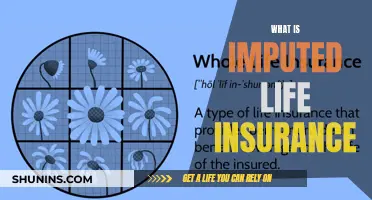 Imputed Life Insurance: Understanding Your Coverage Benefits