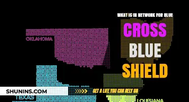 Blue Cross Blue Shield: Understanding Your Network