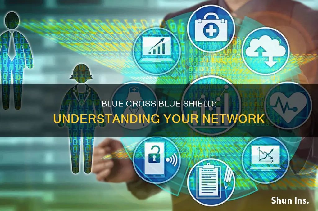 what is in network for blue cross blue shield
