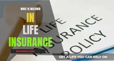 Life Insurance: What's Covered and What's Not