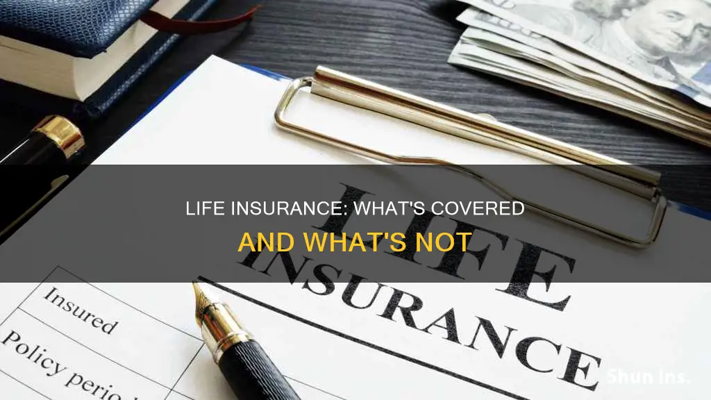 what is included in life insurance