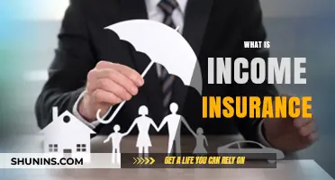 Understanding Income Insurance: Protecting Your Earnings and Financial Stability