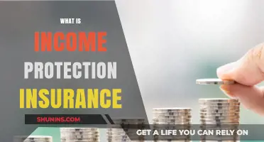 Understanding Income Protection Insurance: Safeguard Your Earnings and Financial Stability