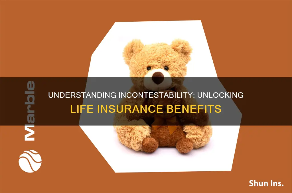 what is incontestability in life insurance