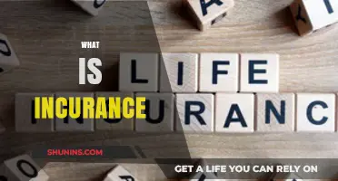 Understanding Insurance: What You Need to Know