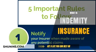Understanding Indemnity Insurance: Coverage, Benefits, and How It Protects You