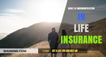 Understanding Indemnification: A Key to Life Insurance Benefits