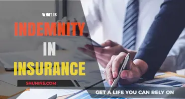 Understanding Indemnity: A Key Concept in Insurance Policies Explained