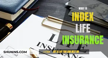 Index Life Insurance: How Does It Work?