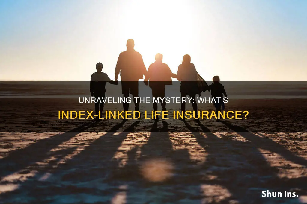 what is index linked life insurance